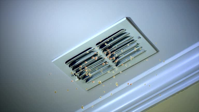 Best Affordable Air Duct Cleaning  in Richmond Hill, GA