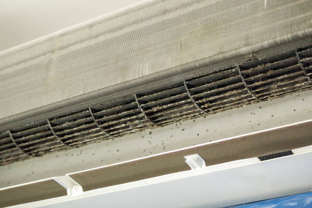 Best HVAC System Cleaning  in Richmond Hill, GA